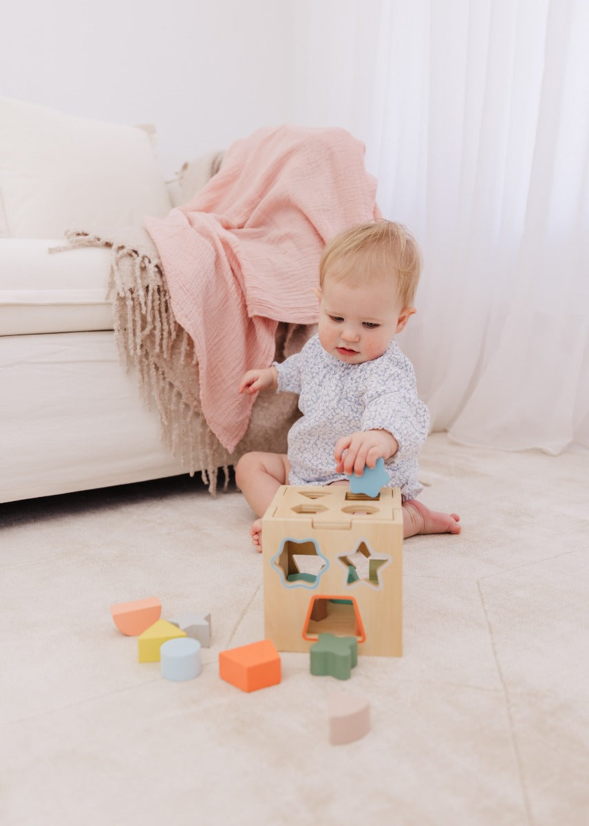 Bubble Wooden Shape Sorting Cube