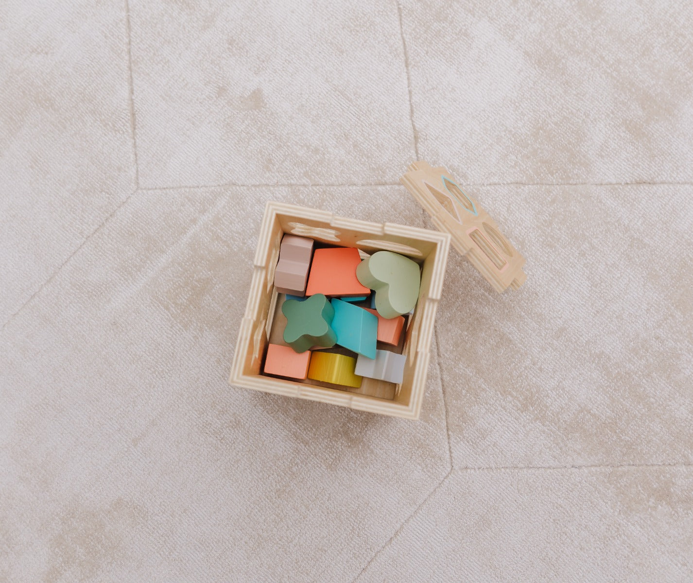 Bubble Wooden Shape Sorting Cube