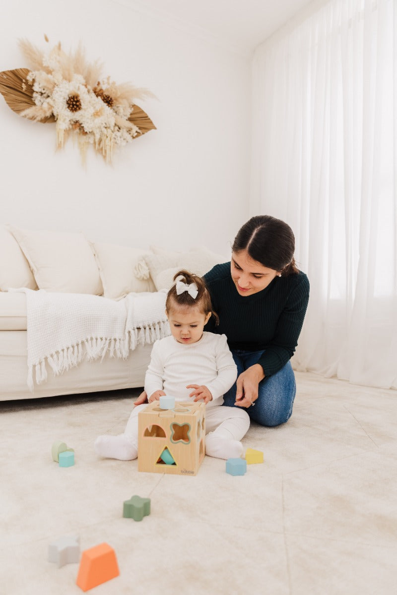 Bubble Wooden Shape Sorting Cube