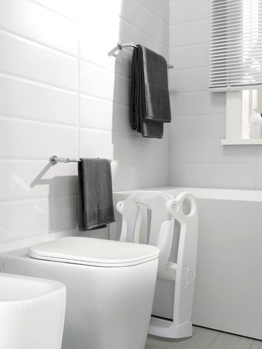 IFAM Foldable Baby Ladder Potty