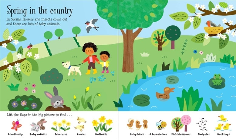 Usborne Lift-the-Flap Board Book Series - Age: 3+ (5 Titles) - Pupsik Singapore