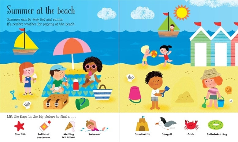 Usborne Lift-the-Flap Board Book Series - Age: 3+ (5 Titles) - Pupsik Singapore