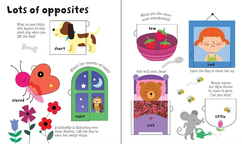 Usborne Lift-the-Flap Board Book Series - Age: 3+ (5 Titles) - Pupsik Singapore