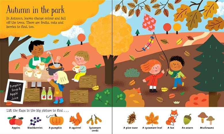 Usborne Lift-the-Flap Board Book Series - Age: 3+ (5 Titles) - Pupsik Singapore