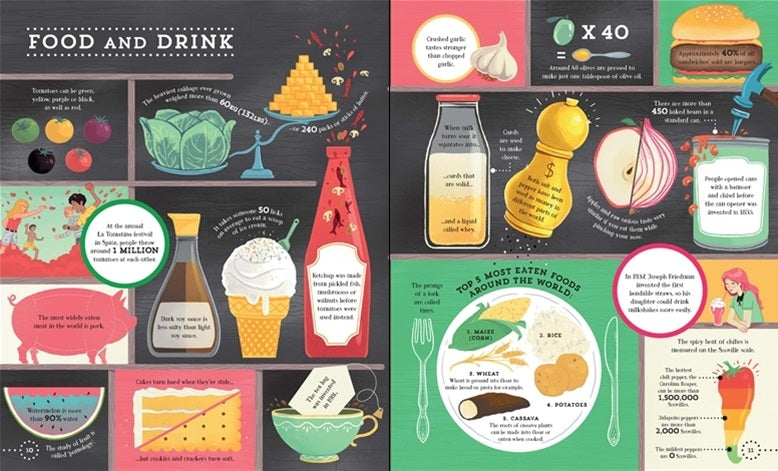 Usborne Big Picture Book of General Knowledge