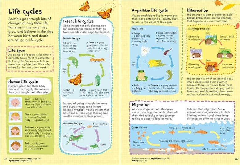 Usborne Junior Illustrated Science Dictionary