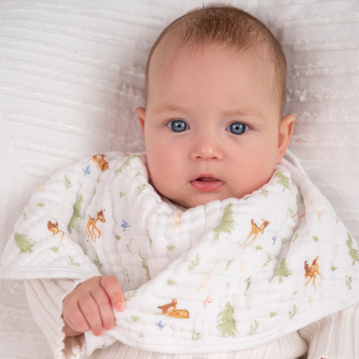 Aden Anais Essential Classic Muslin Burpy Bibs, 1pk (12 Designs) - Pupsik Singapore