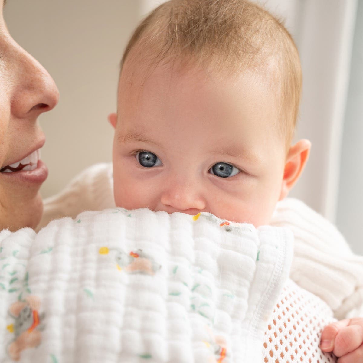 Aden Anais Essential Classic Muslin Burpy Bibs, 1pk (12 Designs) - Pupsik Singapore