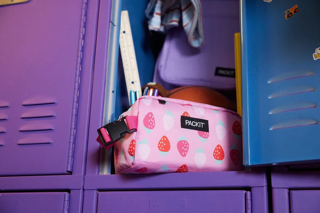 PackIt Freezable Snack Box (15 Designs)