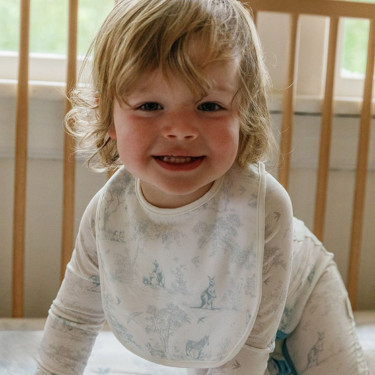 House of Holly Reversible Drool Bibs (17 Designs)