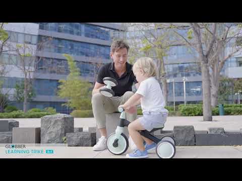 Globber Learning Trike 2-in-1 (3 Colors)