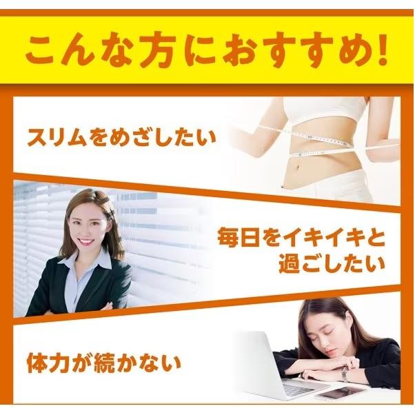 DHC Alpha Lipoic Acid, 120 Capsules for 60 Days (Exp 11/26)