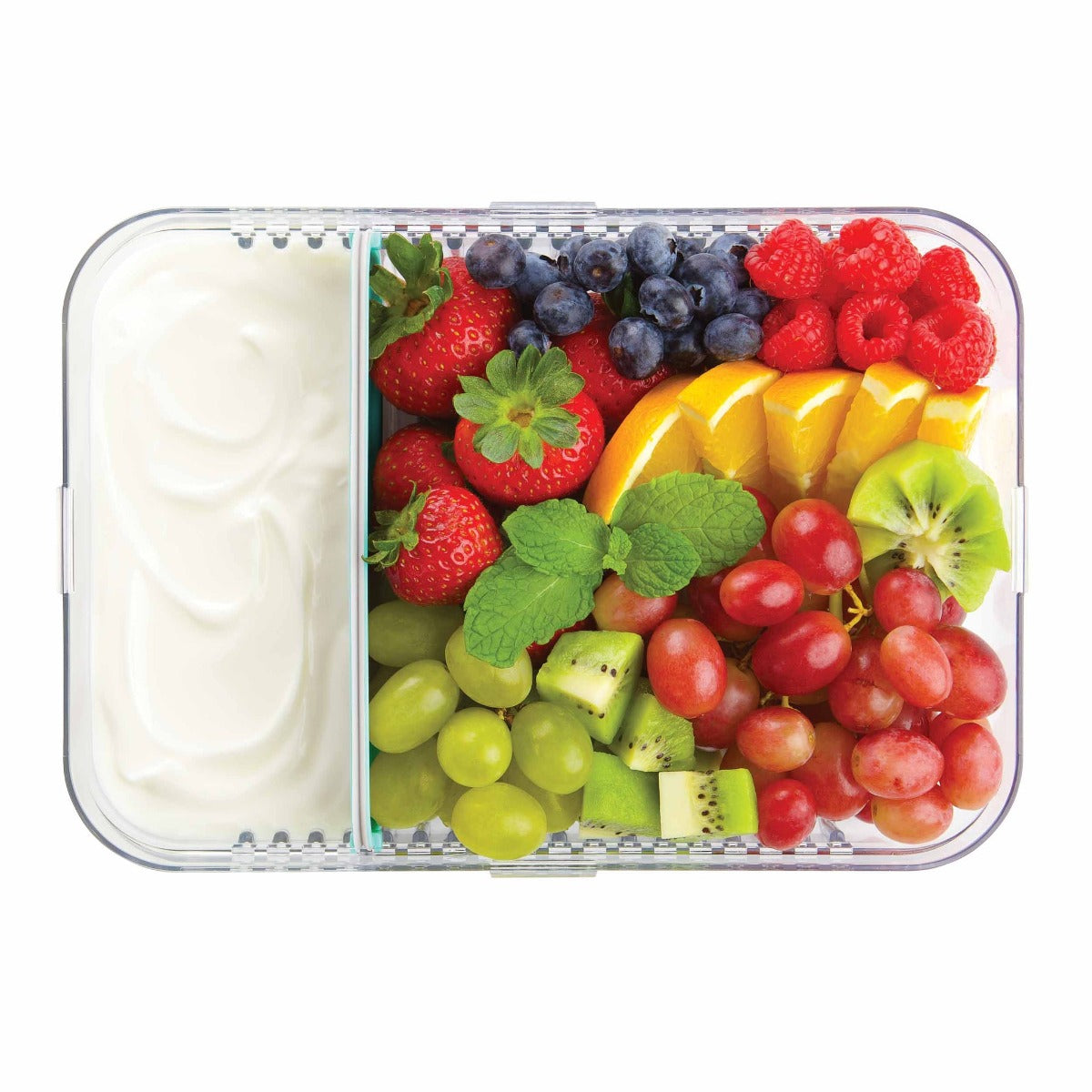 Packit Bento Large Container (2 Colors)