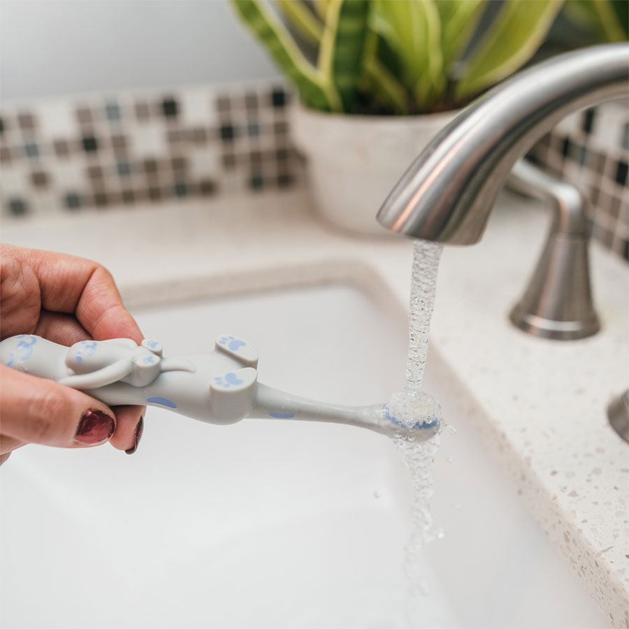 Dr. Brown's Toddler Toothbrush, 1pc (4 Designs) - Pupsik Singapore