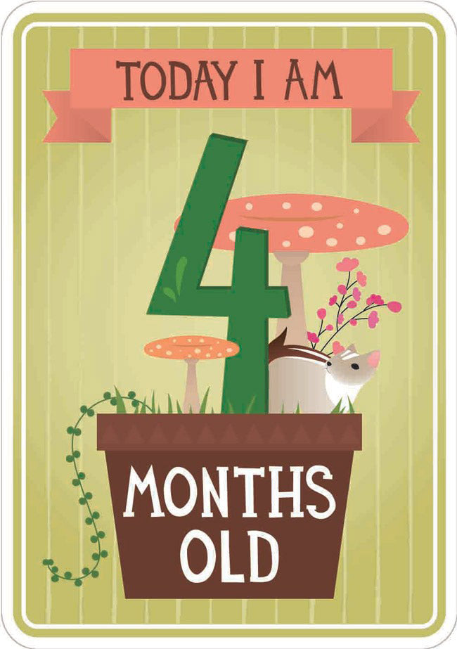 Milestone Baby Cards