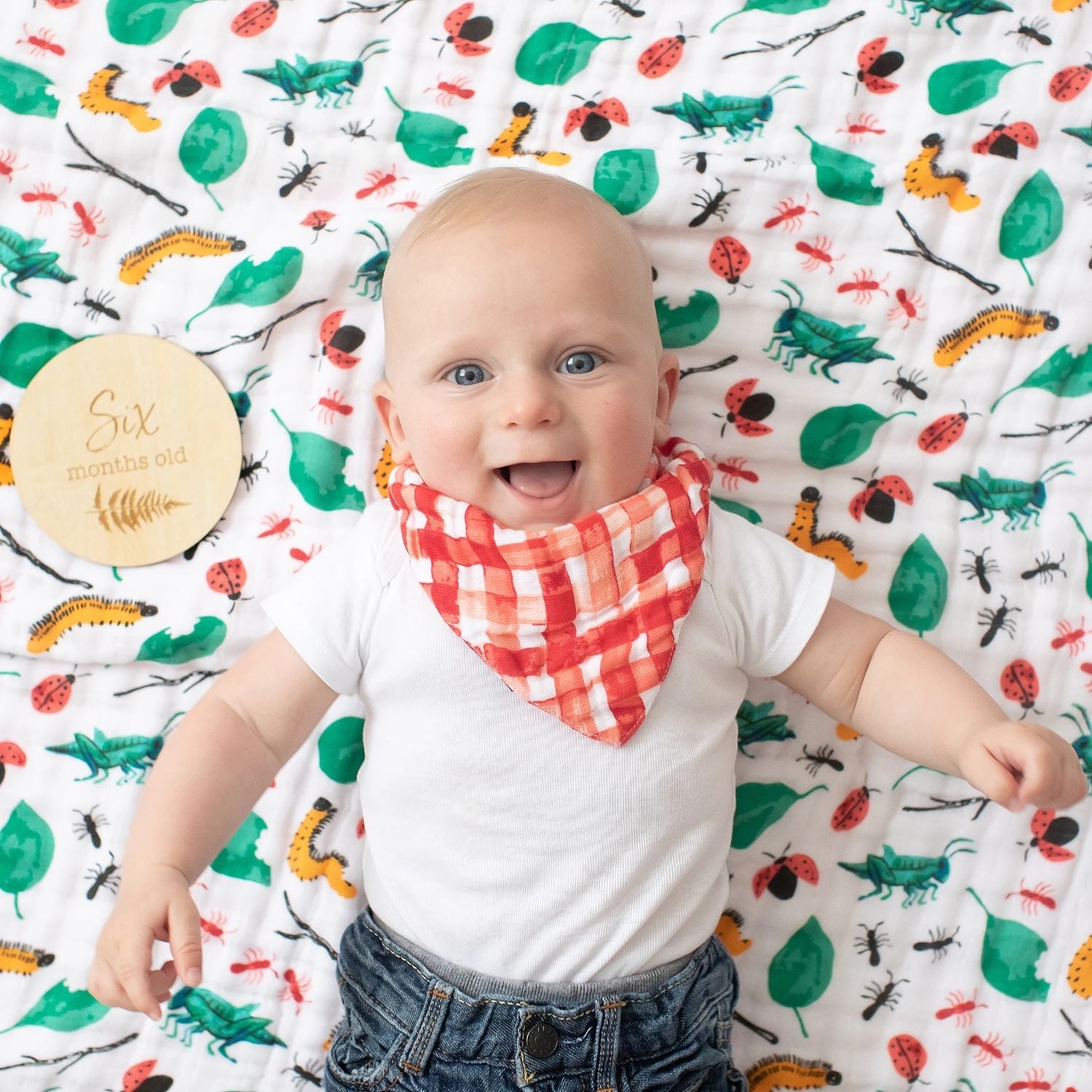 Bebe Au Lait Monthly Milestone Moments Set