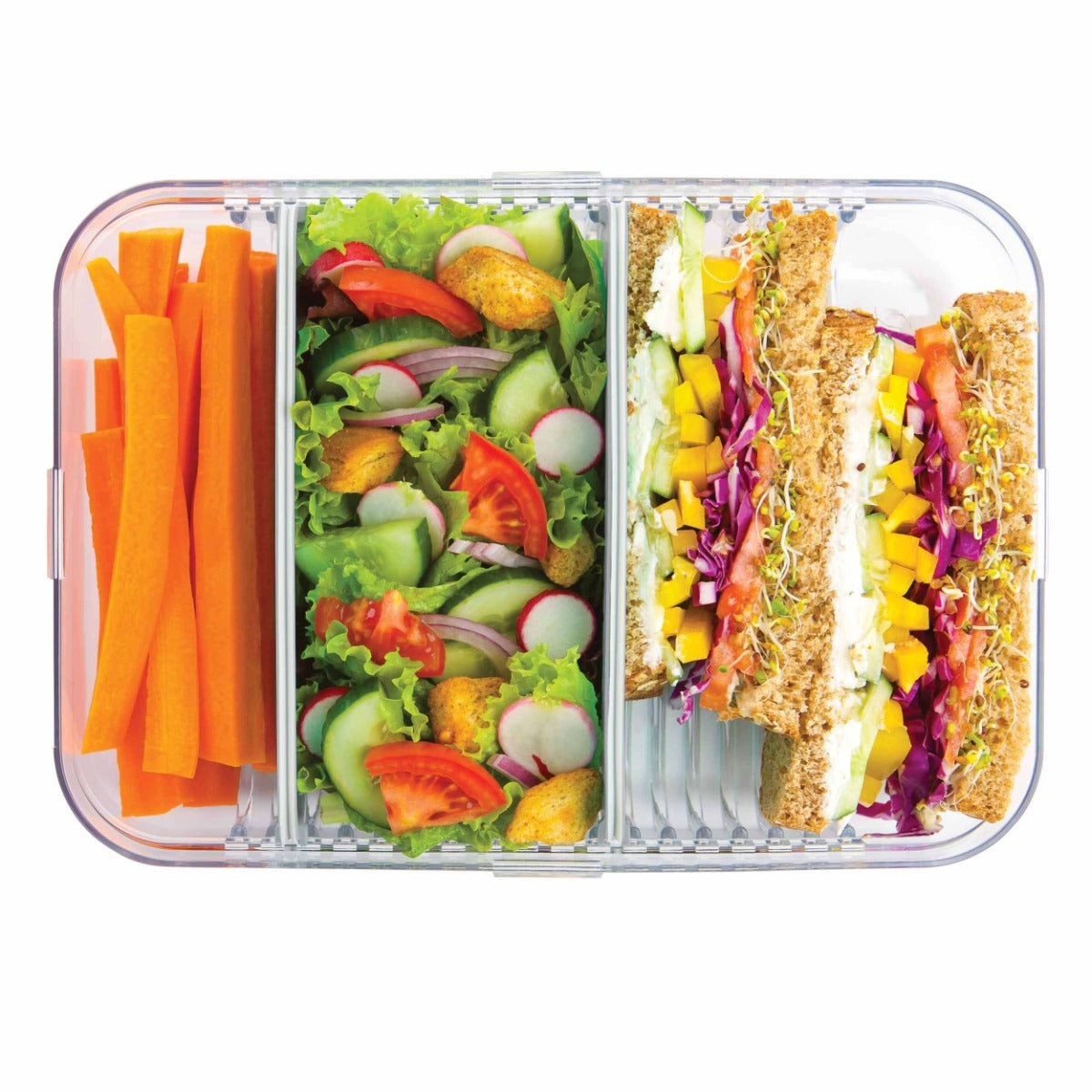 Packit Bento Large Container (2 Colors) - Pupsik Singapore