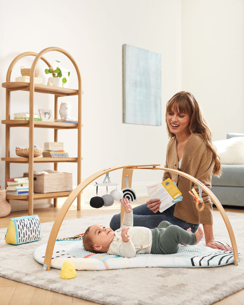 Skip Hop Discoverosity Deluxe Activity Gym