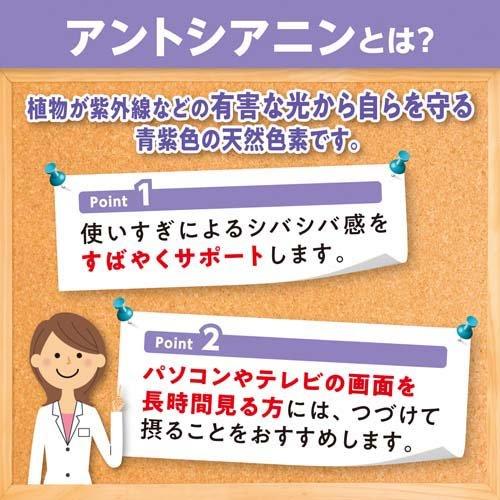 DHC Blueberry Extract for Eye Health, 180 caps for 90 days (Exp 02/27)