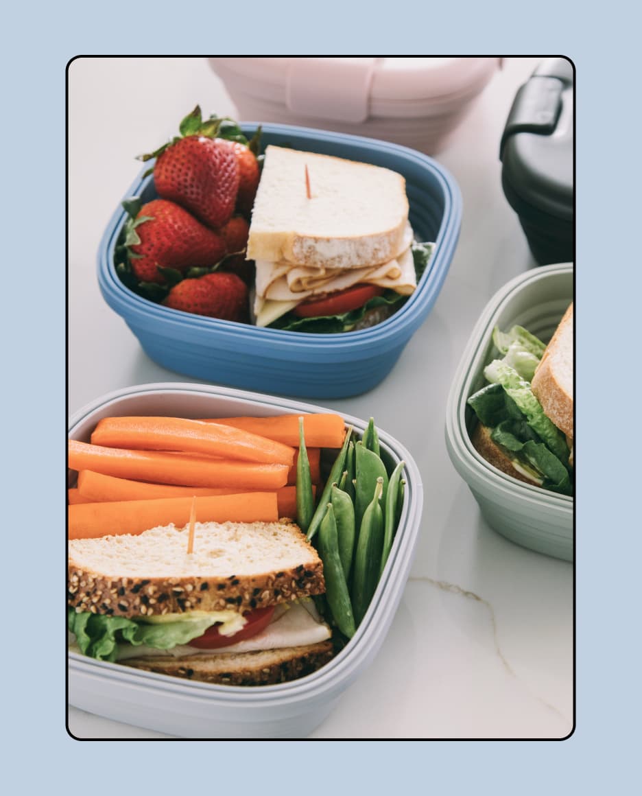 Stojo Silicone Collapsible Box, 24oz, 700ml (5 Colors) - Pupsik Singapore