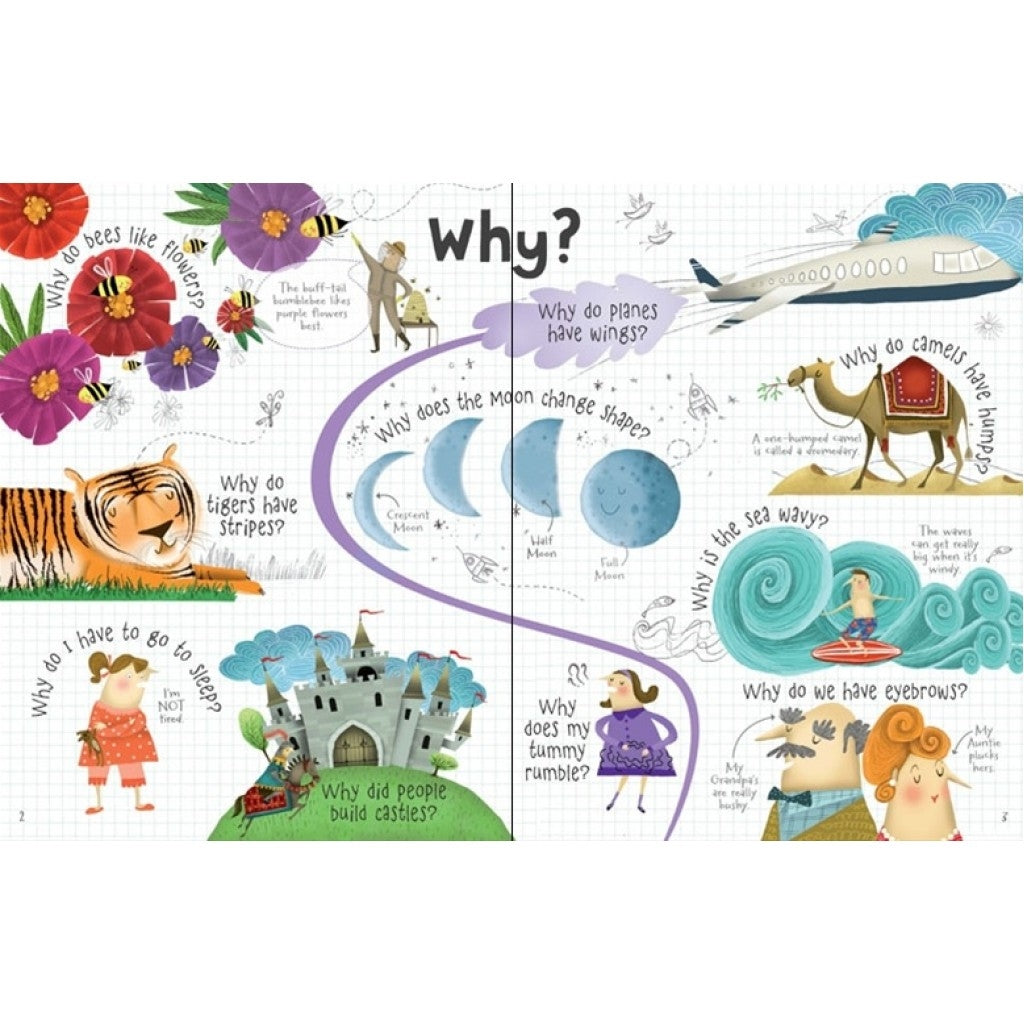 Usborne Lift-the-Flap Questions & Answers Board Book