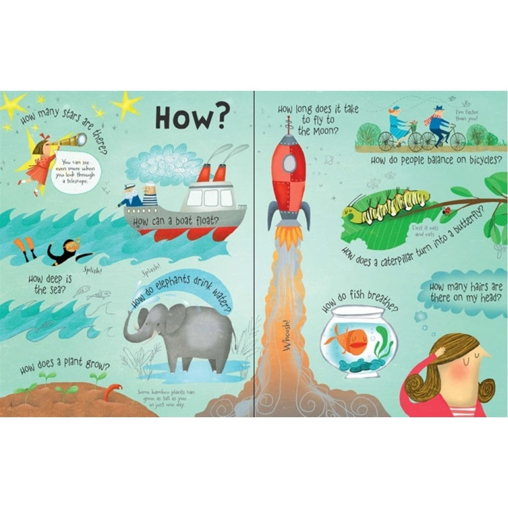Usborne Lift-the-Flap Questions & Answers Board Book