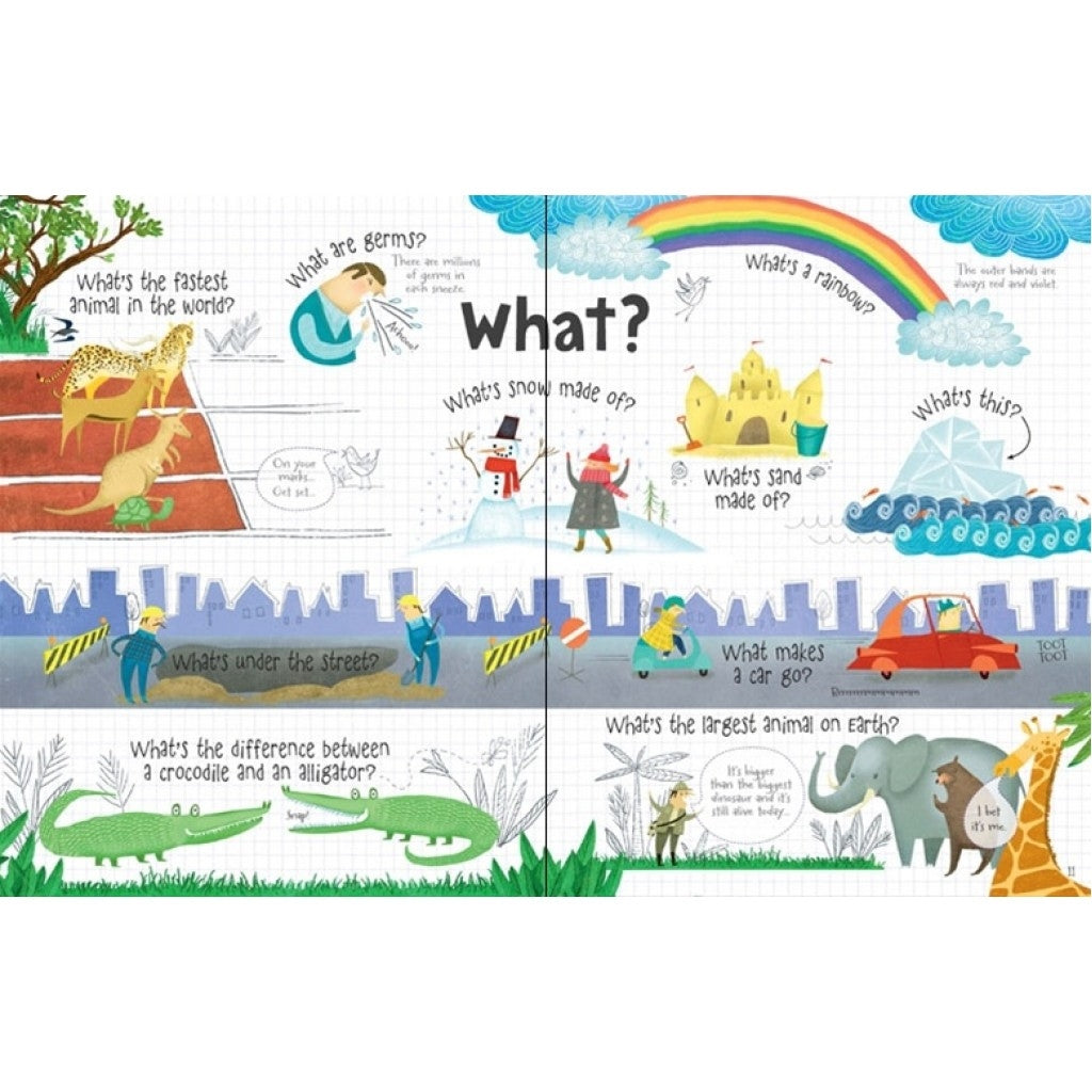 Usborne Lift-the-Flap Questions & Answers Board Book