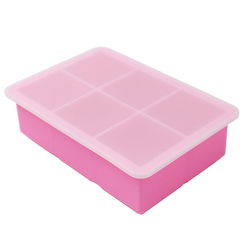 Biomom EasyServe Silicone Food Portion Freezer Tray with Resting Lid, 6 x 100ml (5 Colors) - Pupsik Singapore