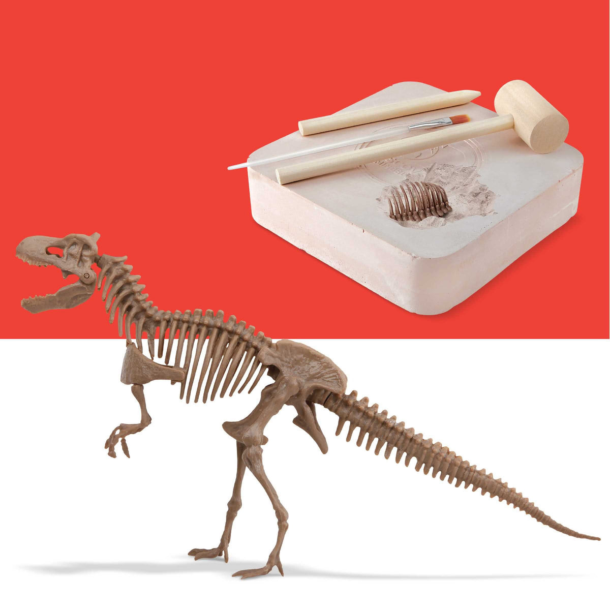 Discovery #MINDBLOWN Dinosaur Excavation T-Rex Kit