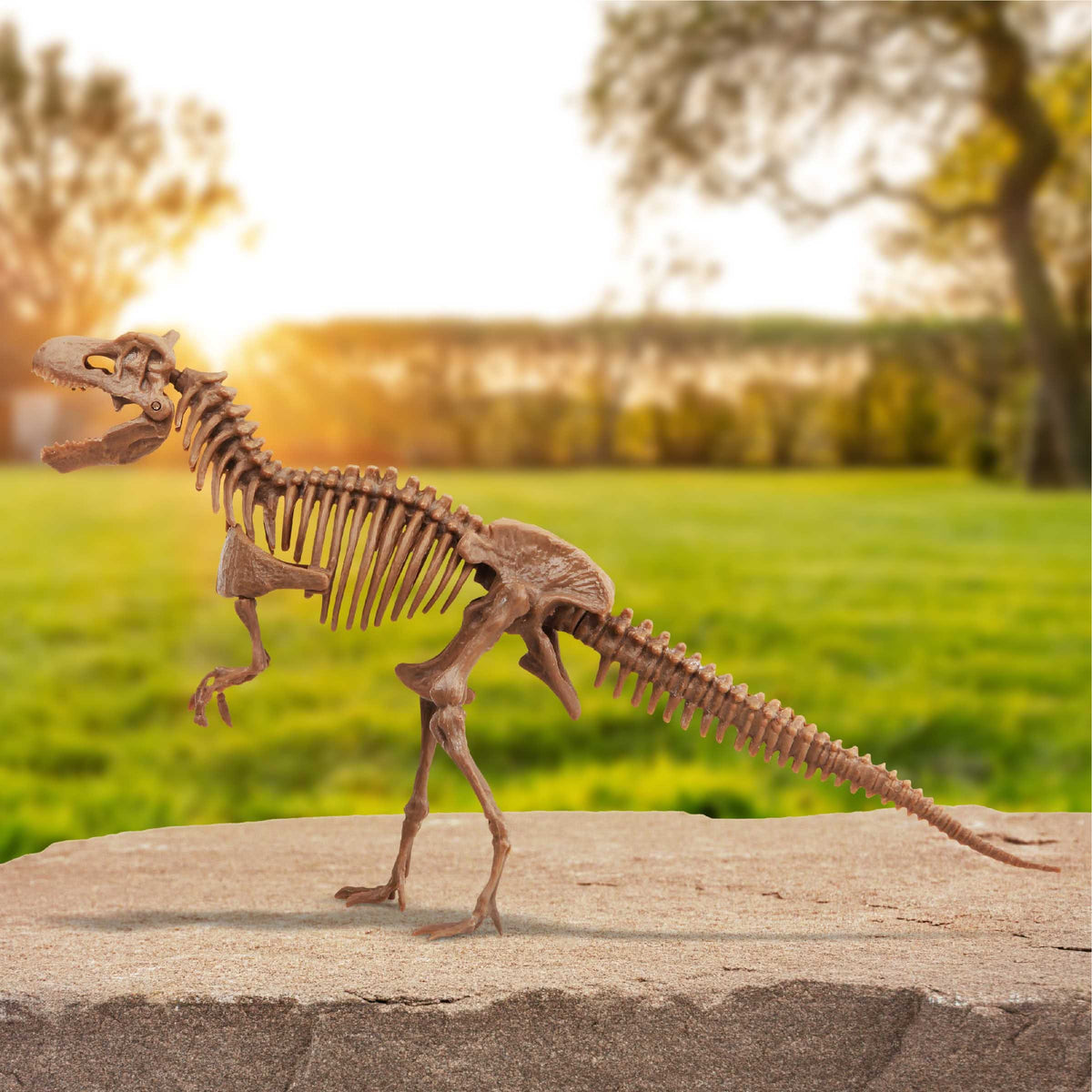 Discovery #MINDBLOWN Dinosaur Excavation T-Rex Kit
