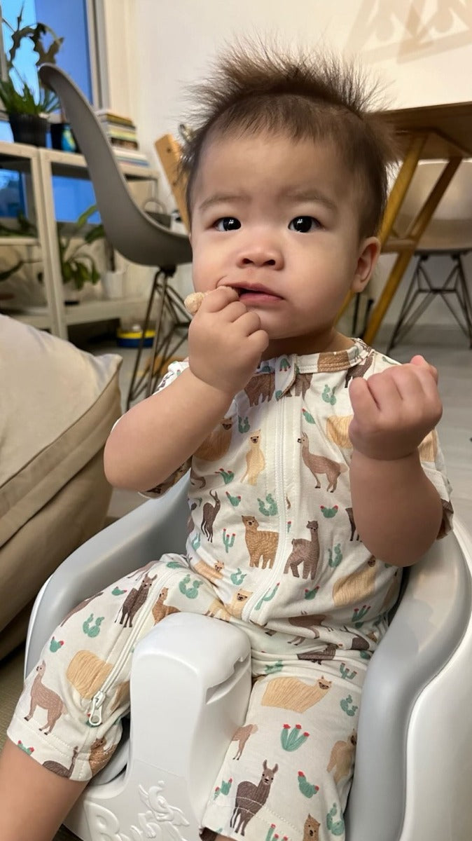 A, Apple Pie Bamboo Baby Zip Short Sleeve Romper - Llamas & Cacti (5 Sizes)