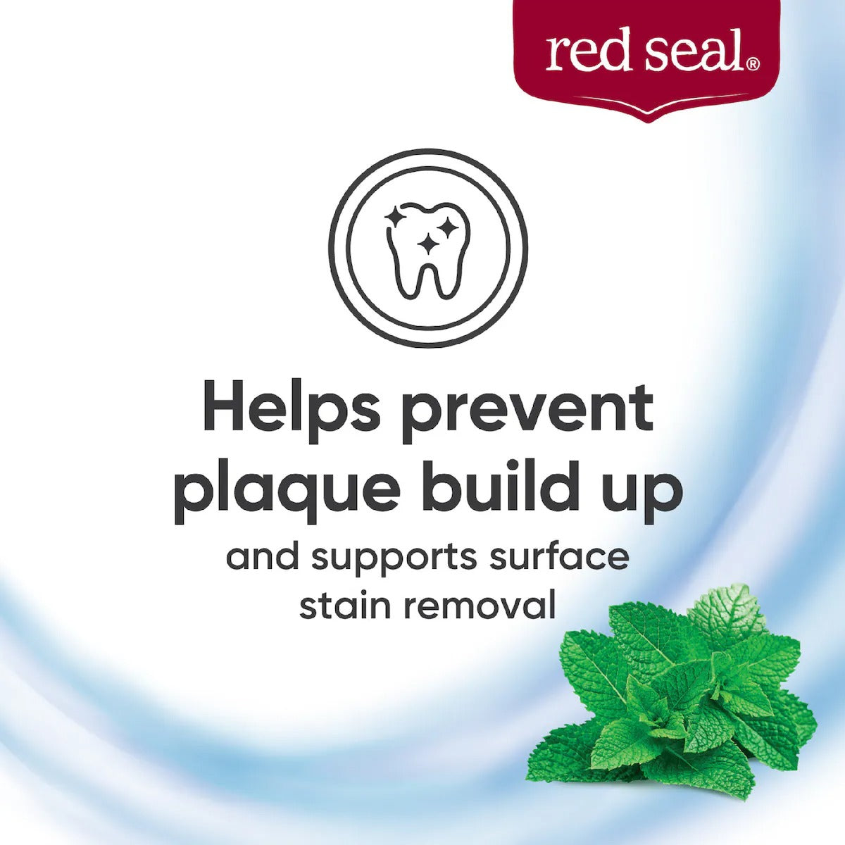 Red Seal Strong Mint Toothpaste, 100g (Exp 09/28)