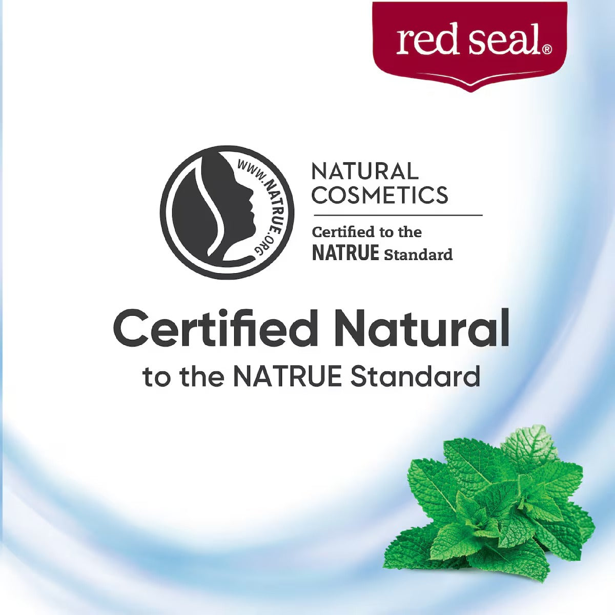 Red Seal Strong Mint Toothpaste, 100g (Exp 09/28)