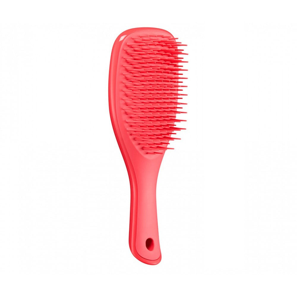 Tangle Teezer The Ultimate Detangler Mini Hairbrush, Straight & Curly (11 Colors) - Pupsik Singapore