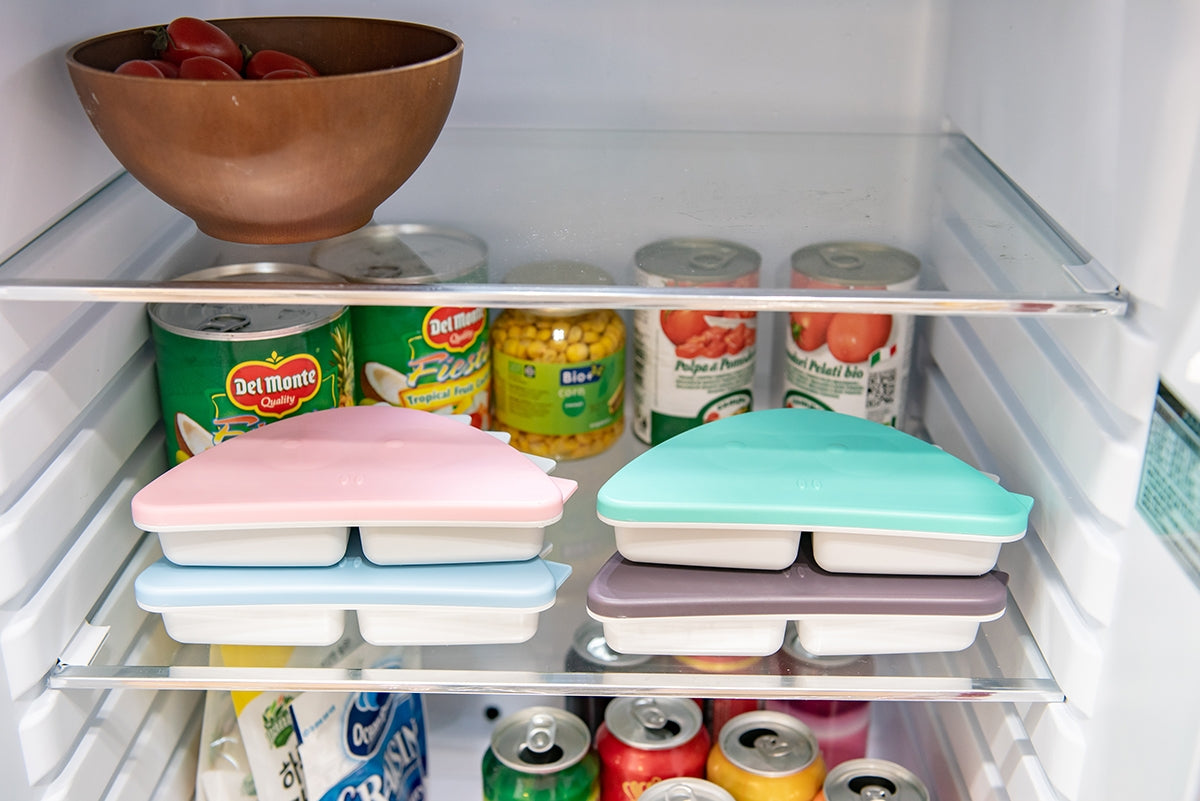 Monee Dinosaur Food Storage Container with Lid (2 Colours) - Pupsik Singapore