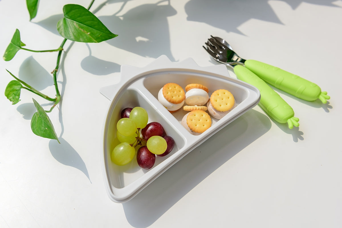Monee Dinosaur Food Storage Container with Lid (2 Colours) - Pupsik Singapore