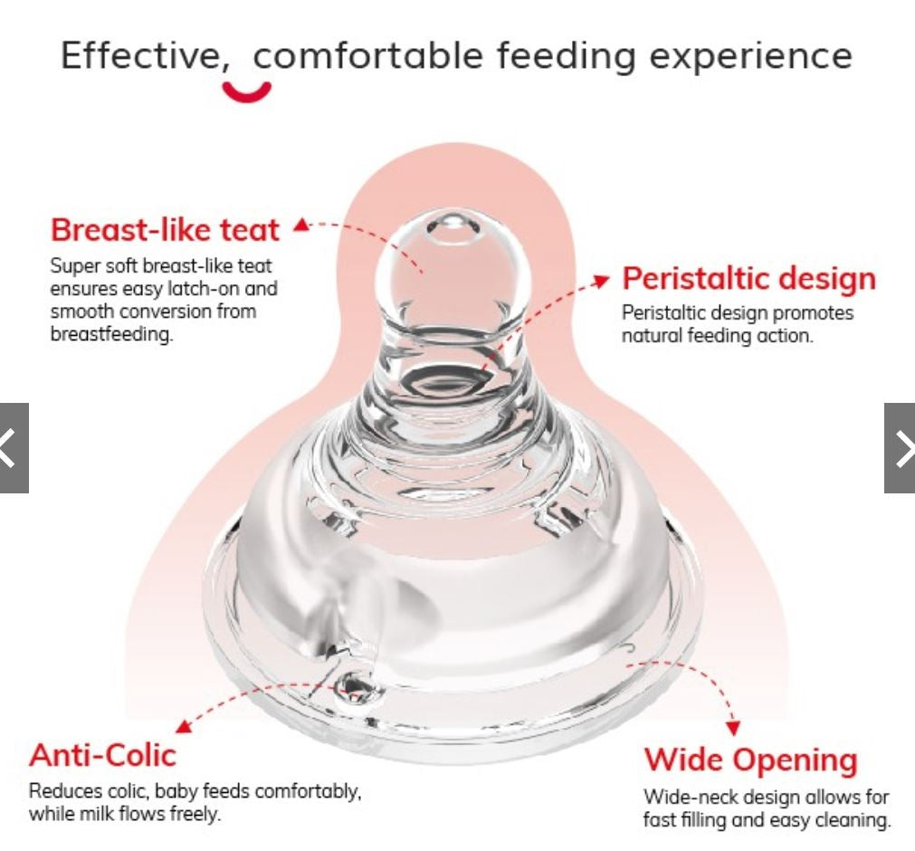 Evorie Tritan Wide-Neck Baby Milk Bottle (160ml/5oz) (3 Colors) - Pupsik Singapore