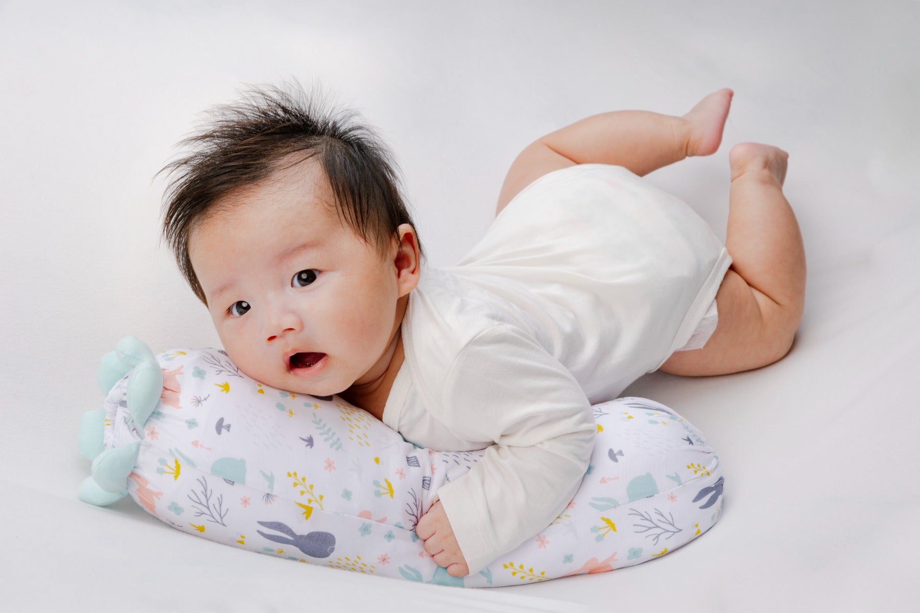 A, Apple Pie Chou Chou Bolster, XS (3 Designs) - Pupsik Singapore