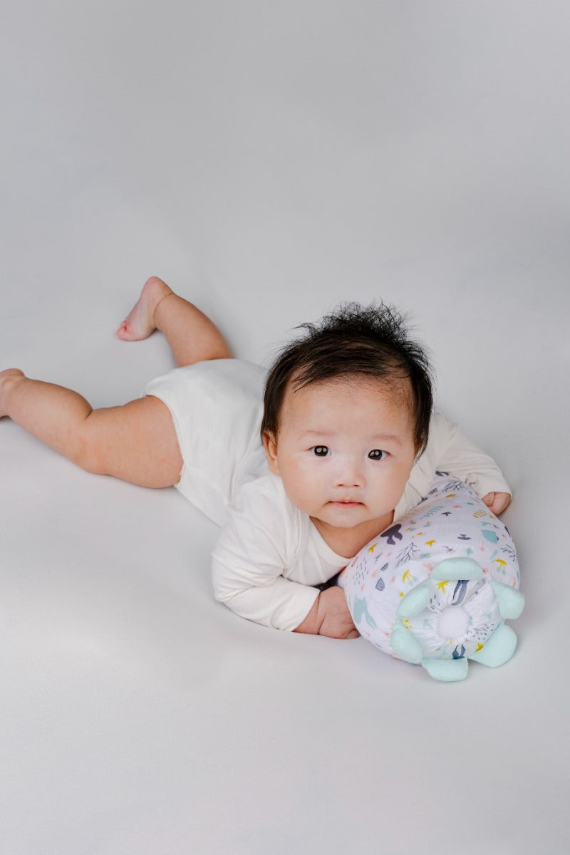 A, Apple Pie Chou Chou Bolster, XS (3 Designs) - Pupsik Singapore
