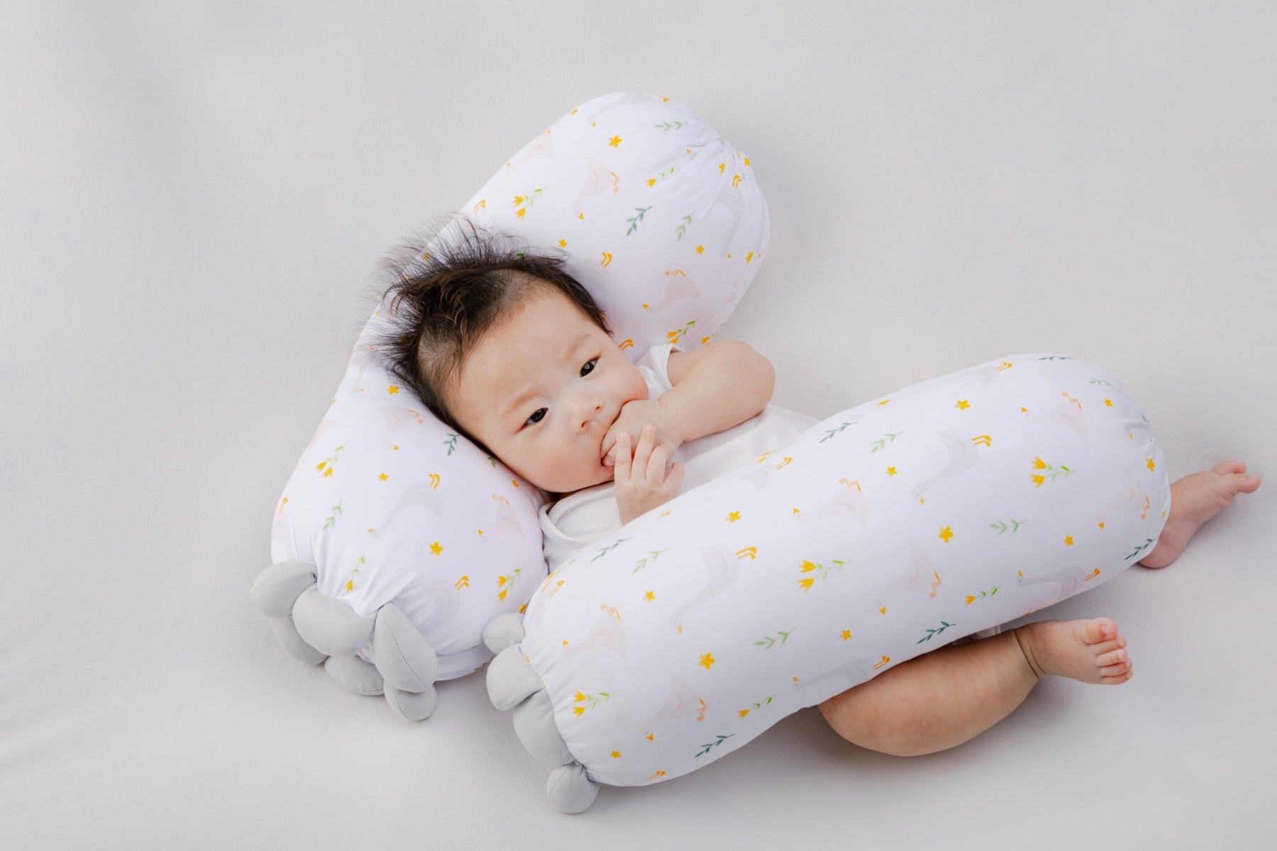 A, Apple Pie Chou Chou Bolster, Medium (3 Designs) - Pupsik Singapore