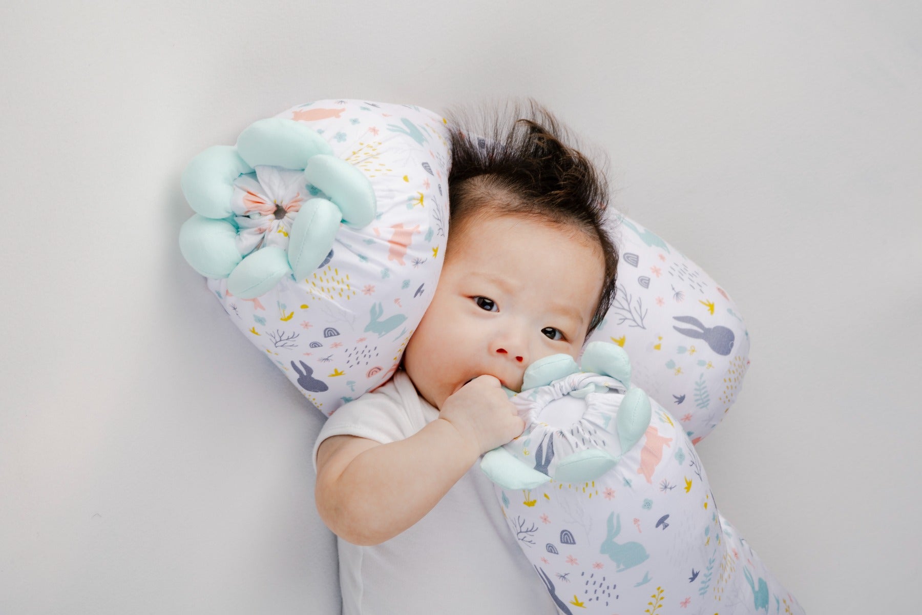 A, Apple Pie Chou Chou Bolster, XS (3 Designs) - Pupsik Singapore