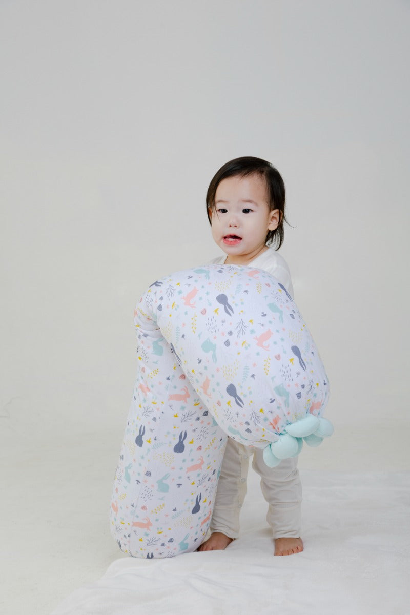 A, Apple Pie Chou Chou Bolster, Large (3 Designs) - Pupsik Singapore
