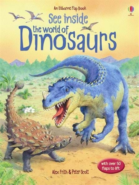 Usborne Lift-The-Flap See Inside Book (9 Titles)