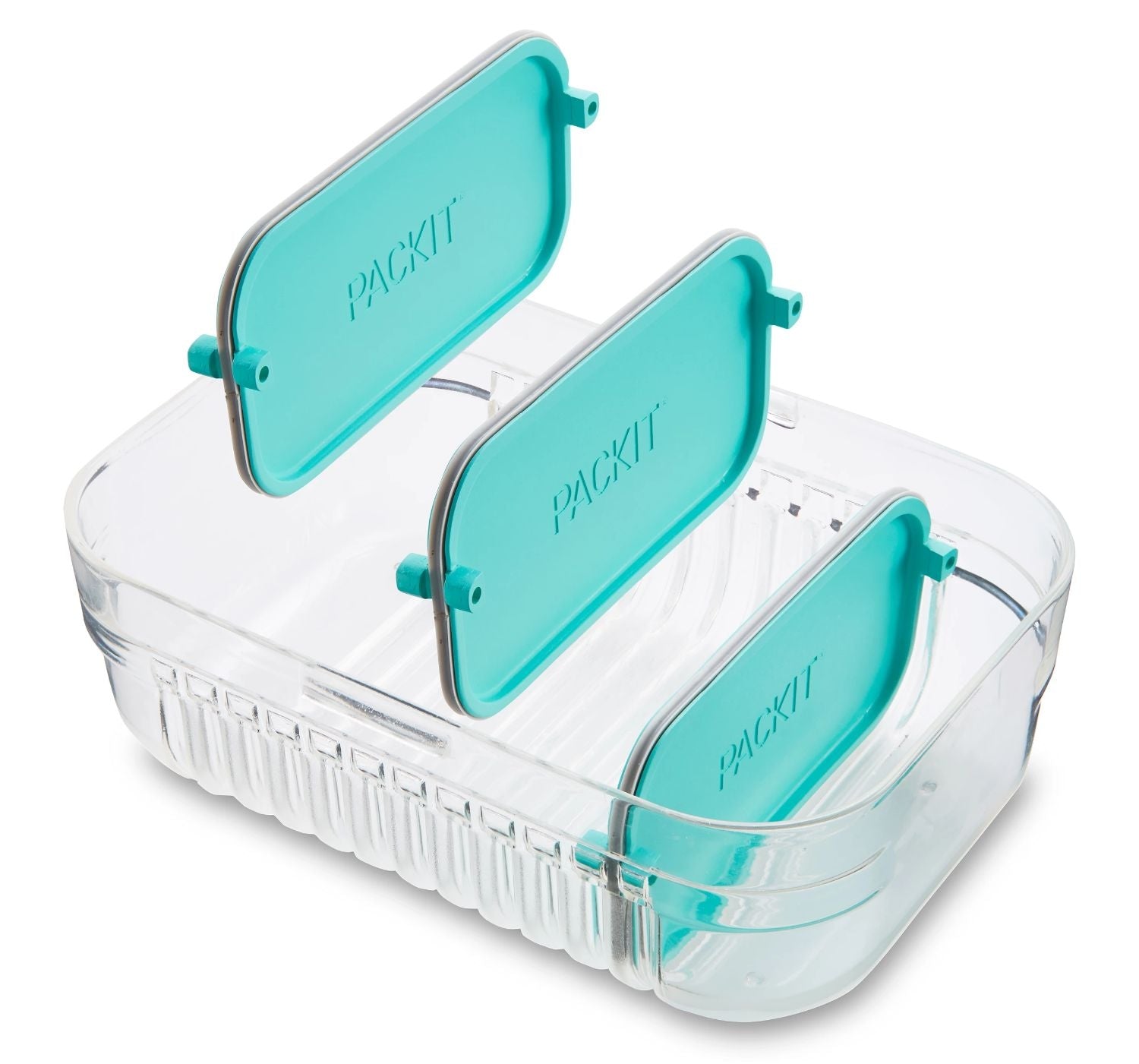 Packit Mod Bento Container Lunch Box (2 Colours) - Pupsik Singapore