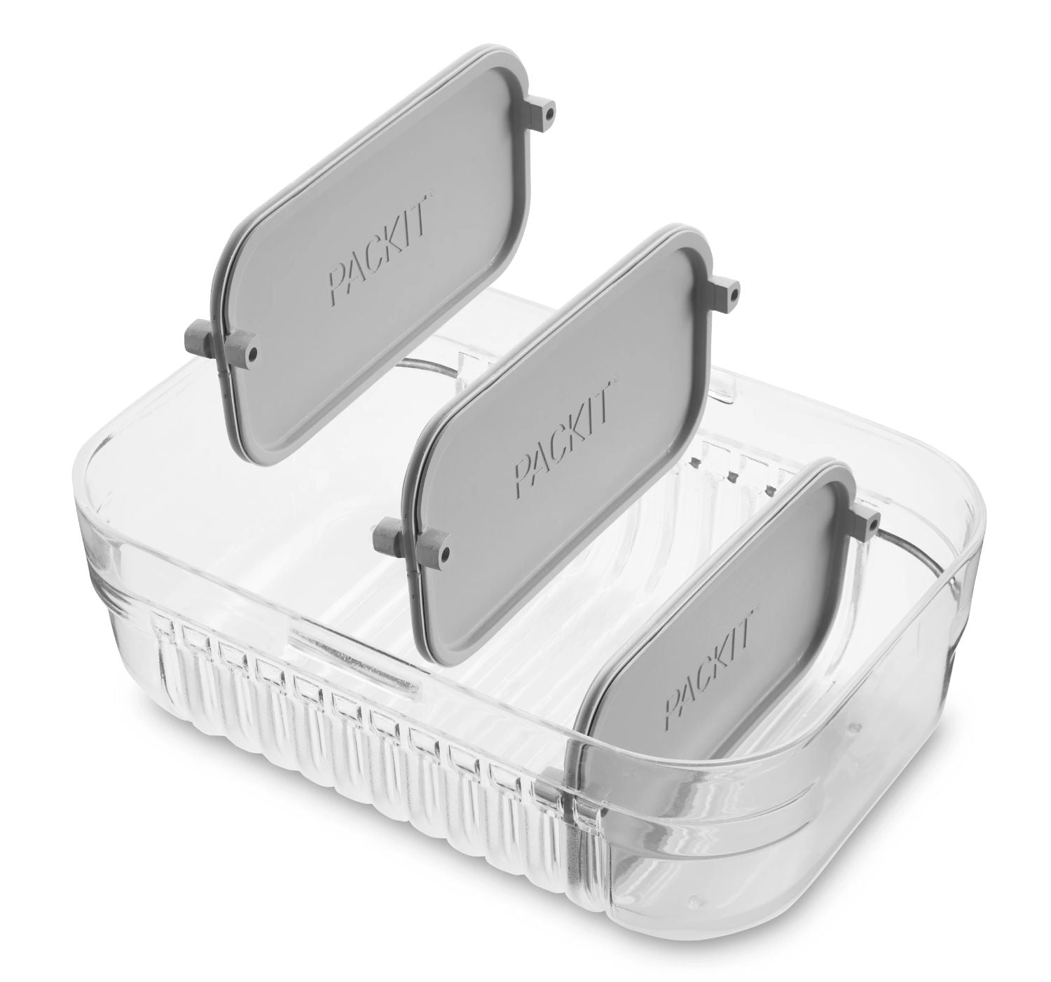 Packit Mod Bento Container Lunch Box (2 Colours) - Pupsik Singapore