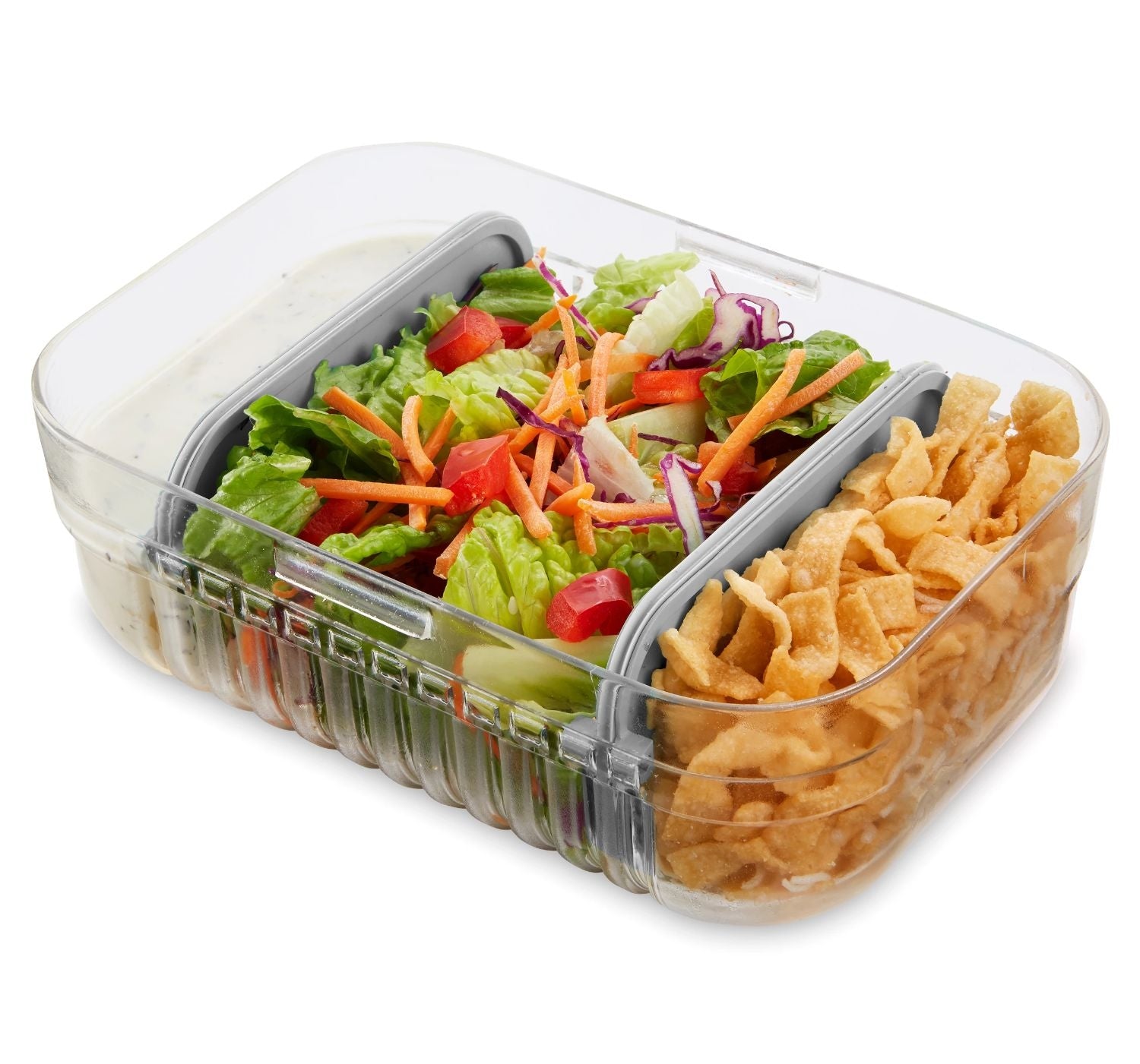 Packit Mod Bento Container Lunch Box (2 Colours) - Pupsik Singapore