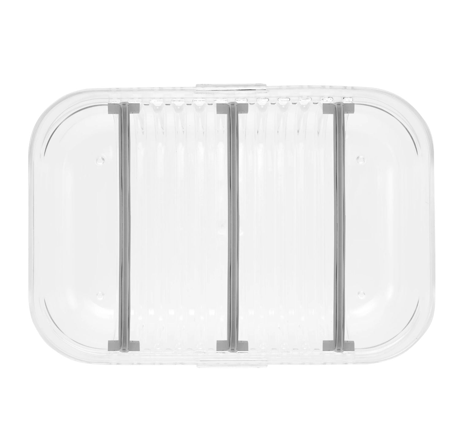 Packit Mod Bento Container Lunch Box (2 Colours) - Pupsik Singapore
