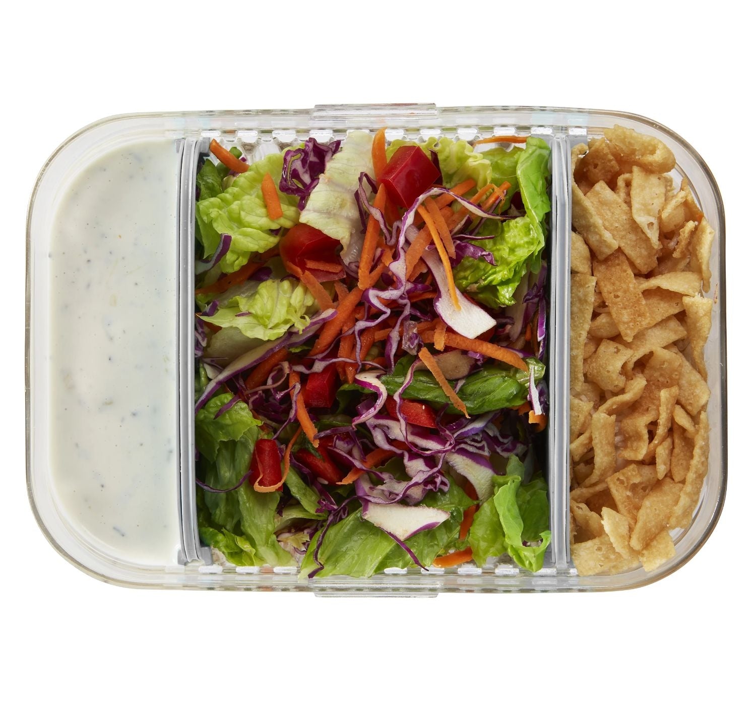 Packit Mod Bento Container Lunch Box (2 Colours) - Pupsik Singapore