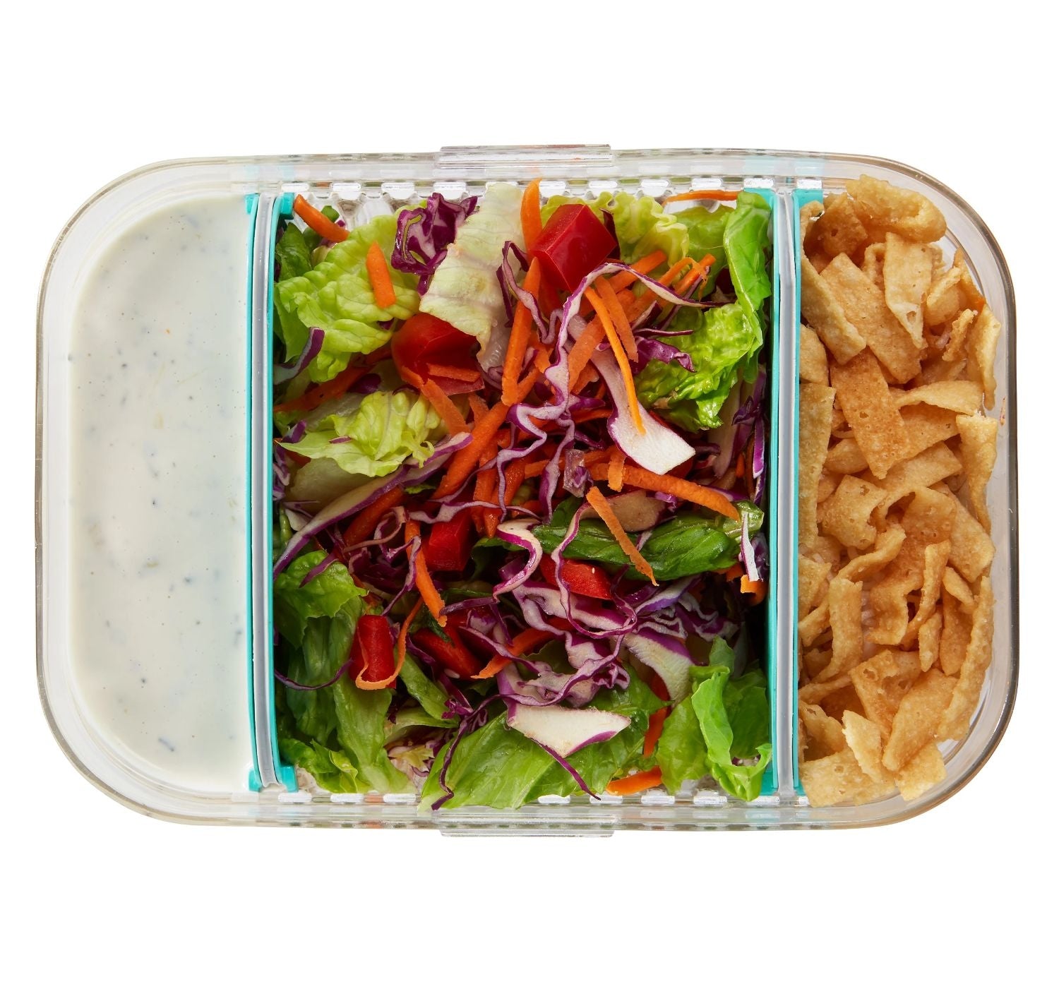 Packit Mod Bento Container Lunch Box (2 Colours) - Pupsik Singapore
