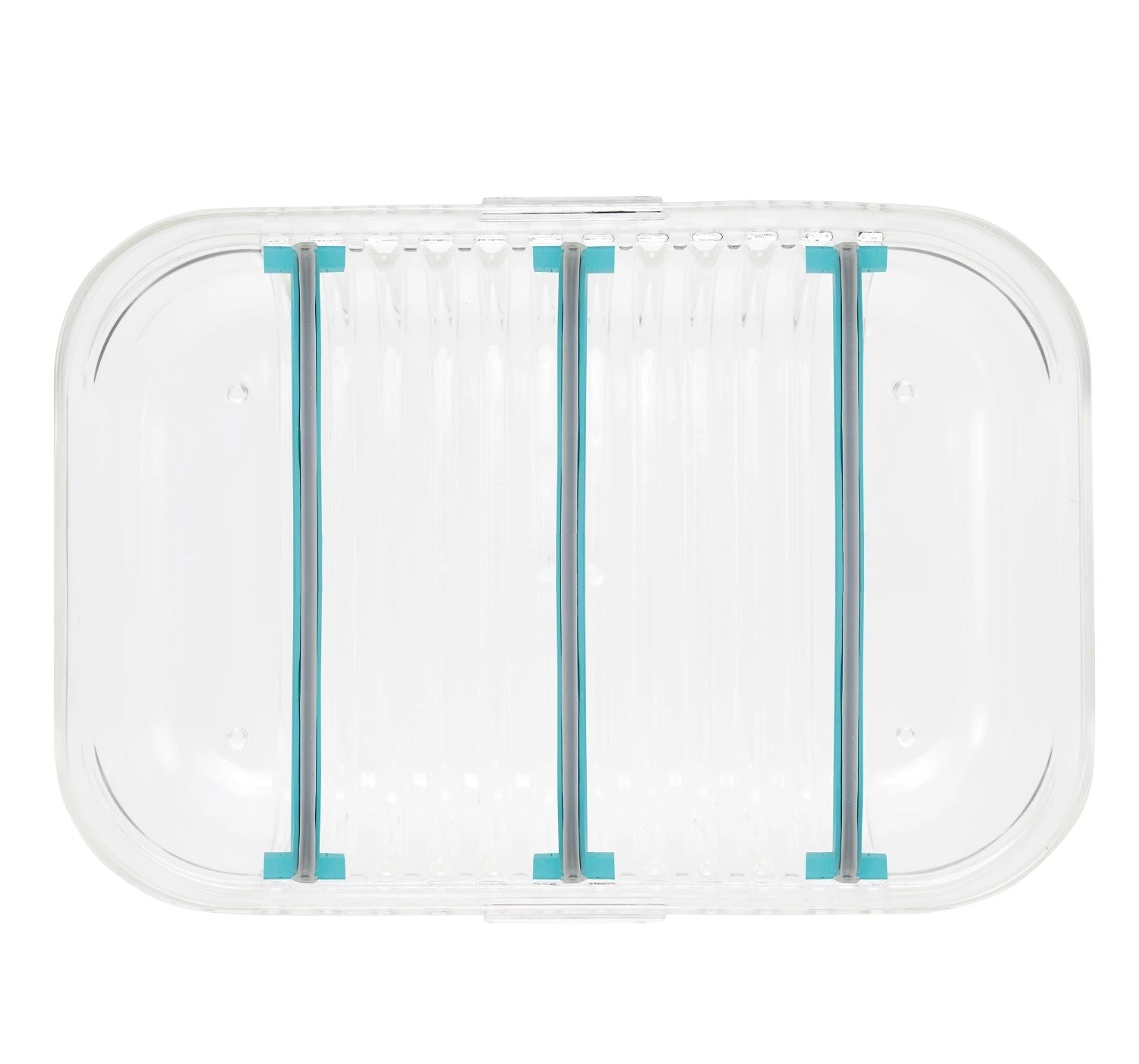 Packit Mod Bento Container Lunch Box (2 Colours) - Pupsik Singapore
